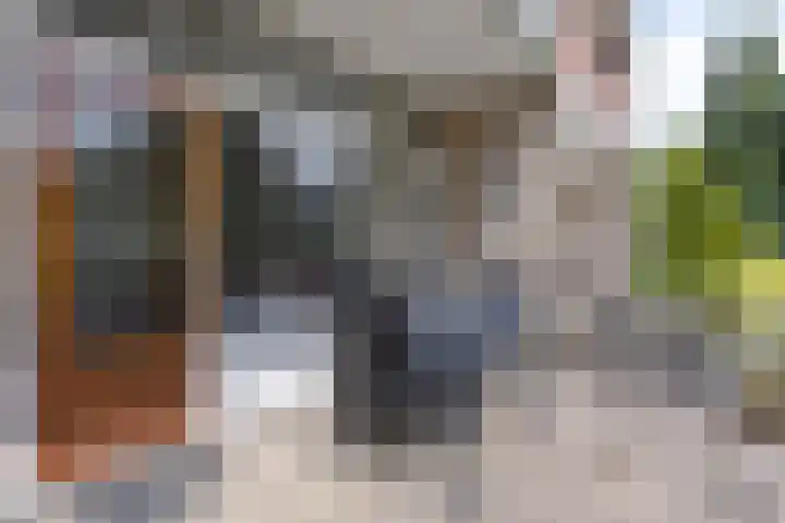 Tolhuis 2110 Nijmegen thumbnail 33