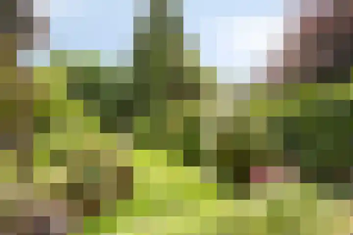 Tolhuis 2110 Nijmegen thumbnail 34