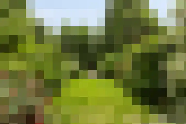 Tolhuis 2110 Nijmegen thumbnail 35