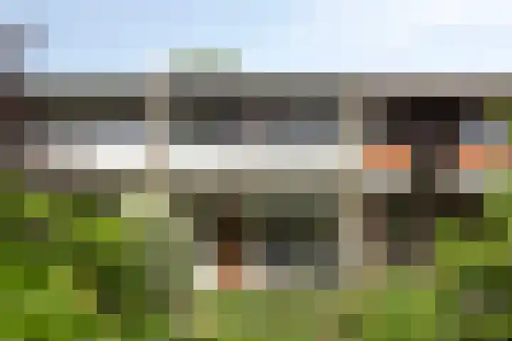 Tolhuis 2110 Nijmegen thumbnail 37