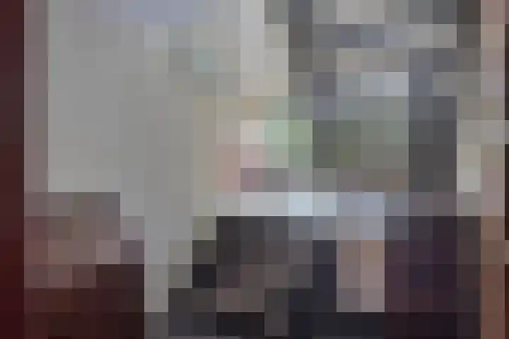 Tolhuis 2110 Nijmegen thumbnail 7