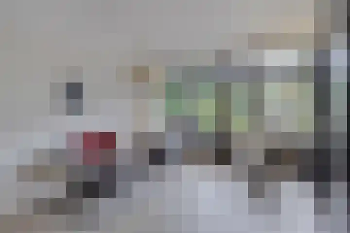 Tolhuis 2110 Nijmegen thumbnail 8