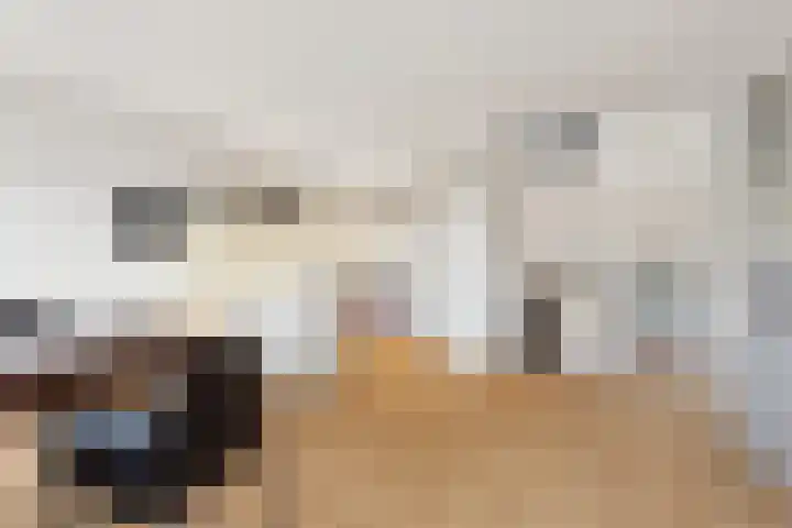 Tolhuis 2114 Nijmegen thumbnail 11