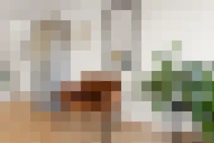 Tolhuis 2114 Nijmegen thumbnail 17