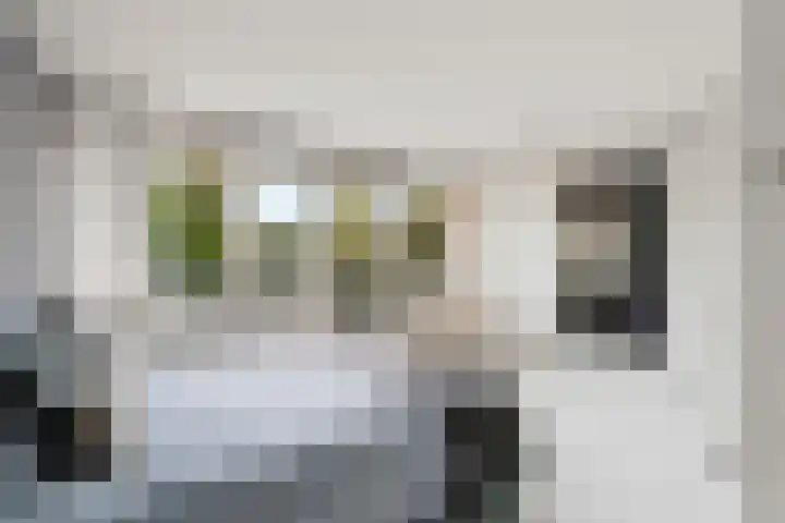 Tolhuis 2114 Nijmegen thumbnail 22