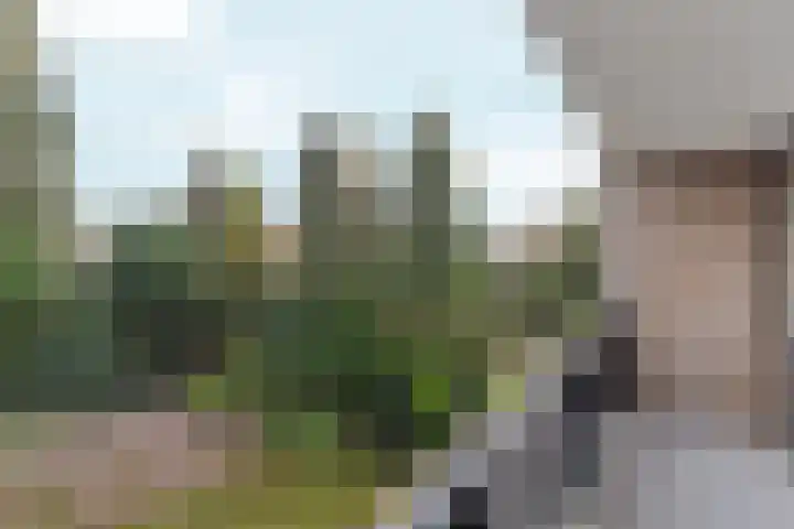 Tolhuis 2114 Nijmegen thumbnail 24