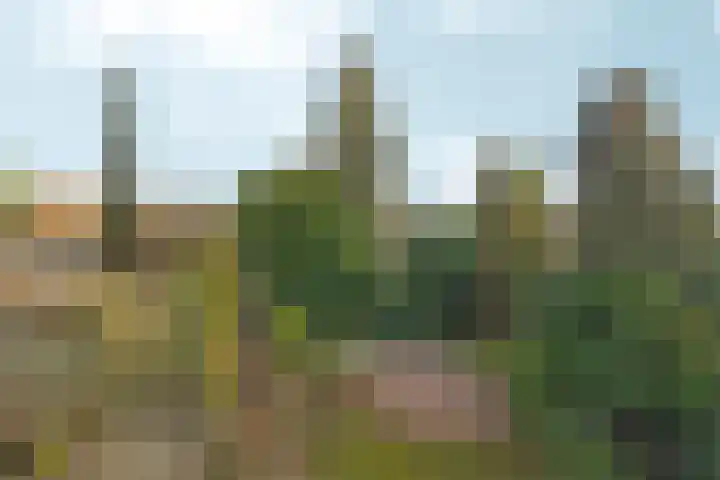 Tolhuis 2114 Nijmegen thumbnail 26