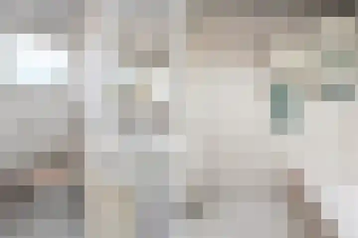 Tolhuis 2114 Nijmegen thumbnail 32