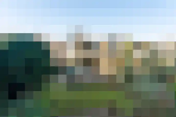 Tolhuis 2114 Nijmegen thumbnail 43