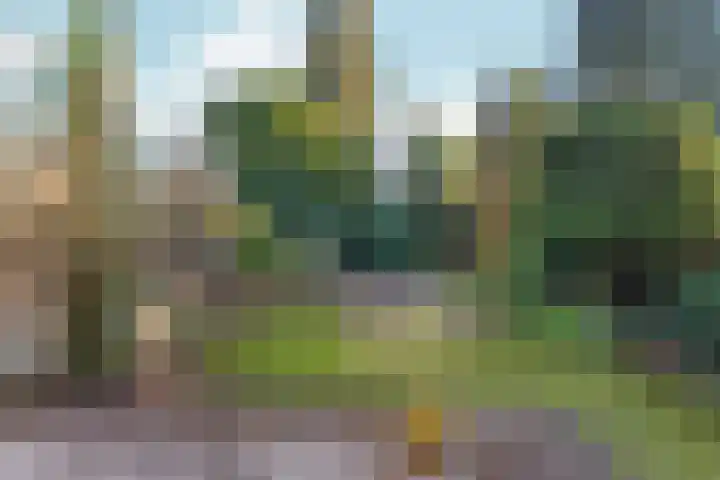 Tolhuis 2114 Nijmegen thumbnail 45