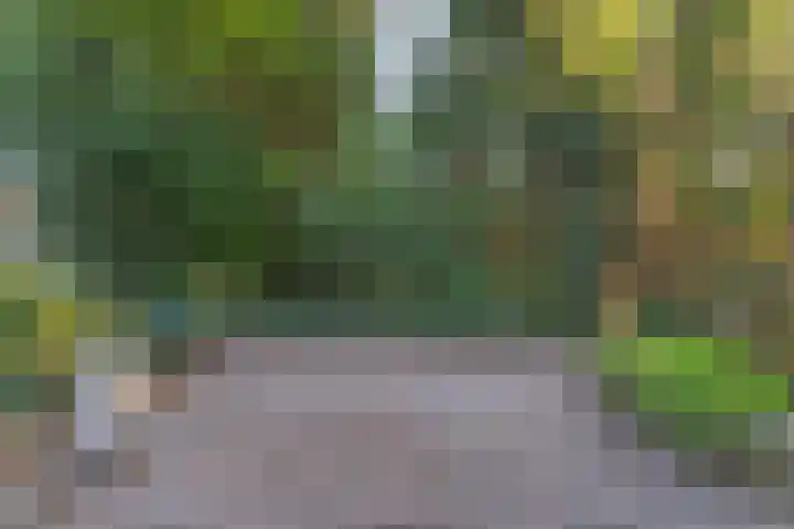 Tolhuis 2114 Nijmegen thumbnail 47