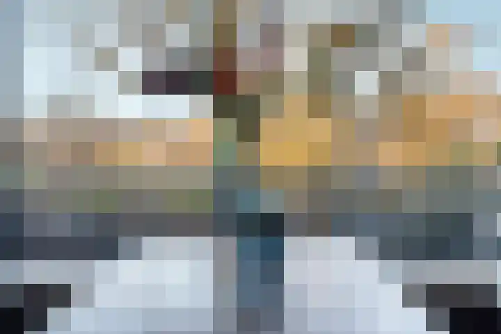 Tolhuis 2114 Nijmegen thumbnail 9