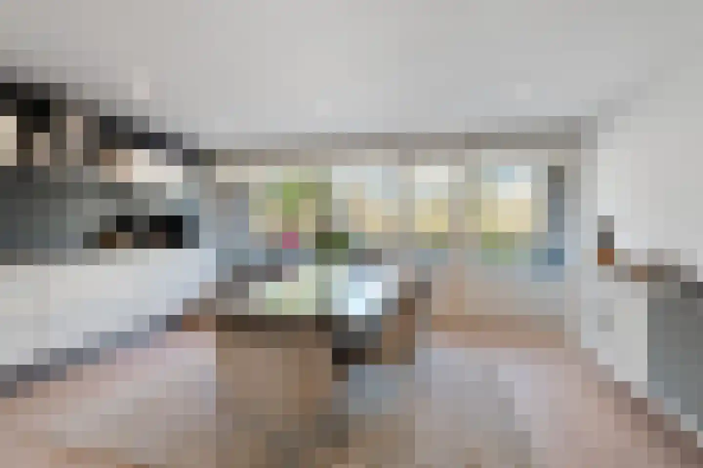 Tolhuis 2222 Nijmegen thumbnail 13