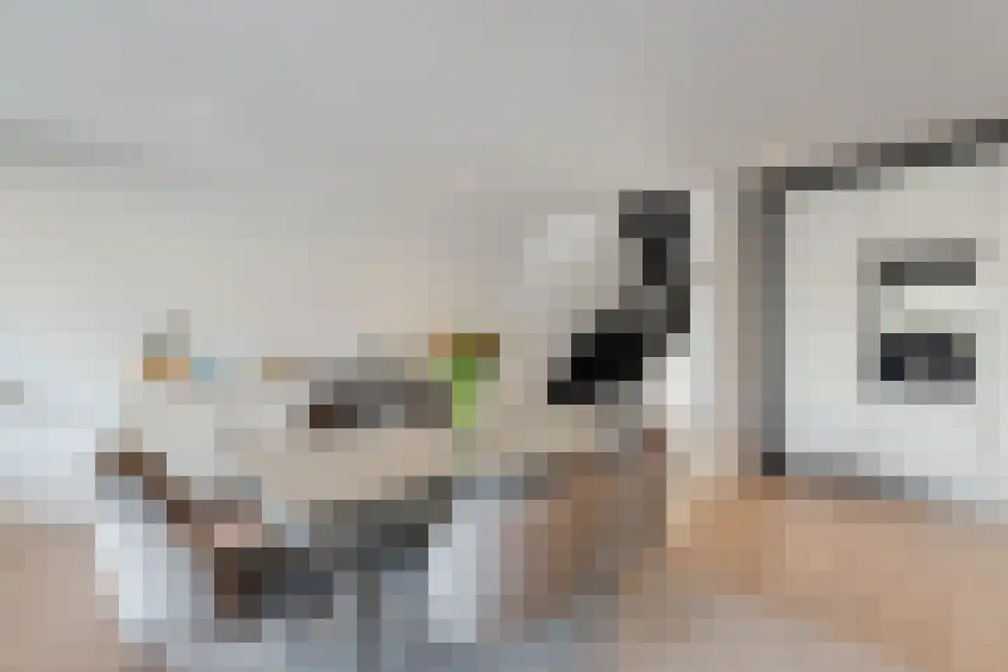 Tolhuis 2222 Nijmegen thumbnail 16