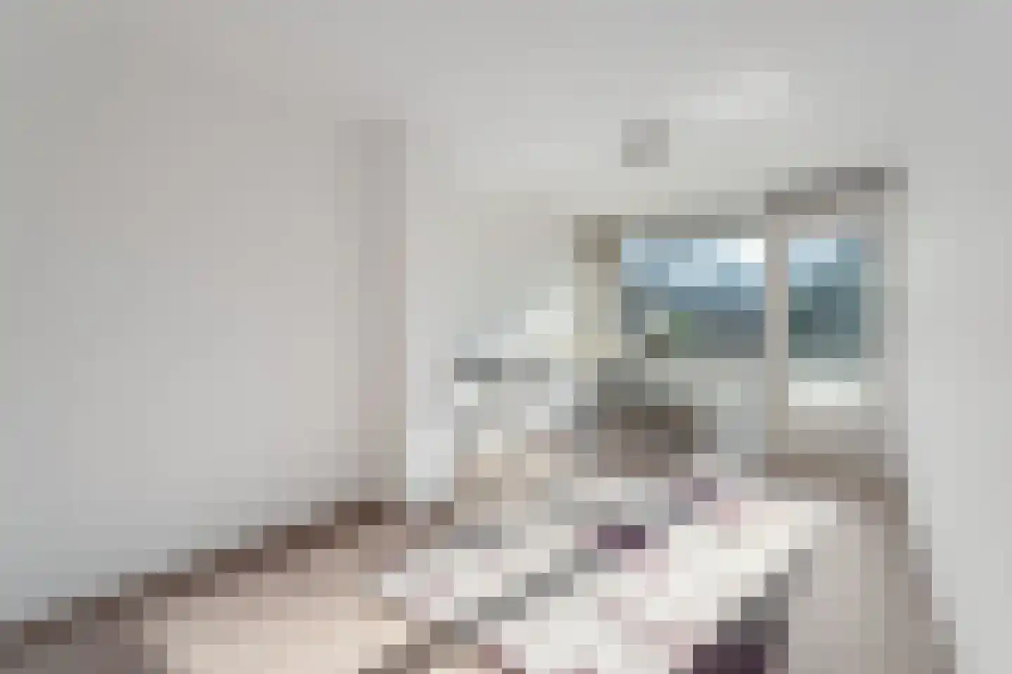 Tolhuis 2222 Nijmegen thumbnail 24