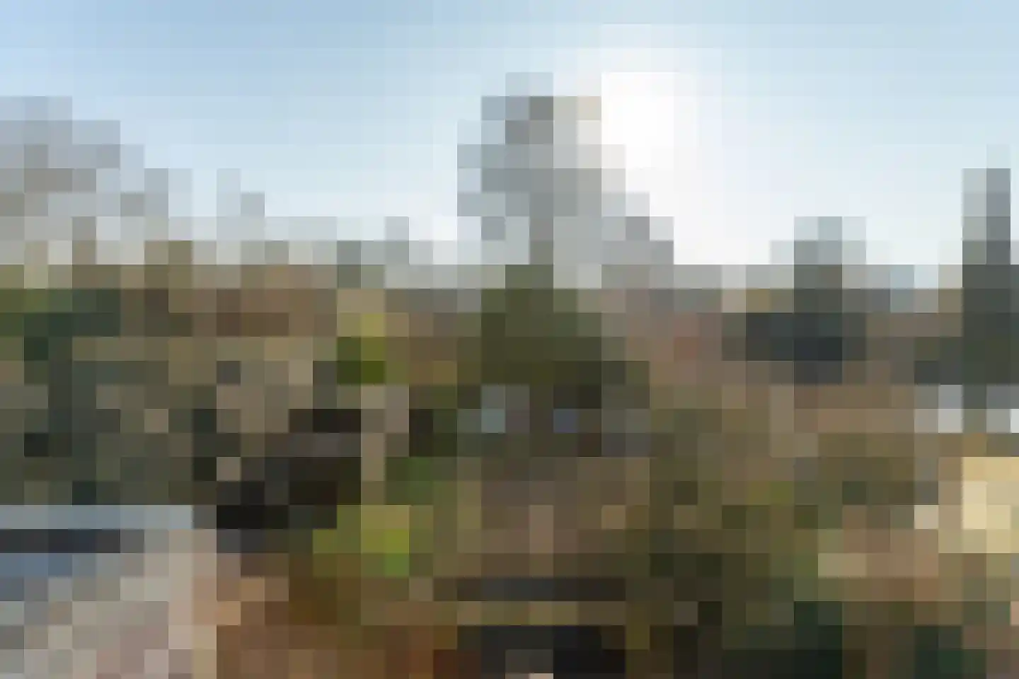 Tolhuis 2222 Nijmegen thumbnail 26