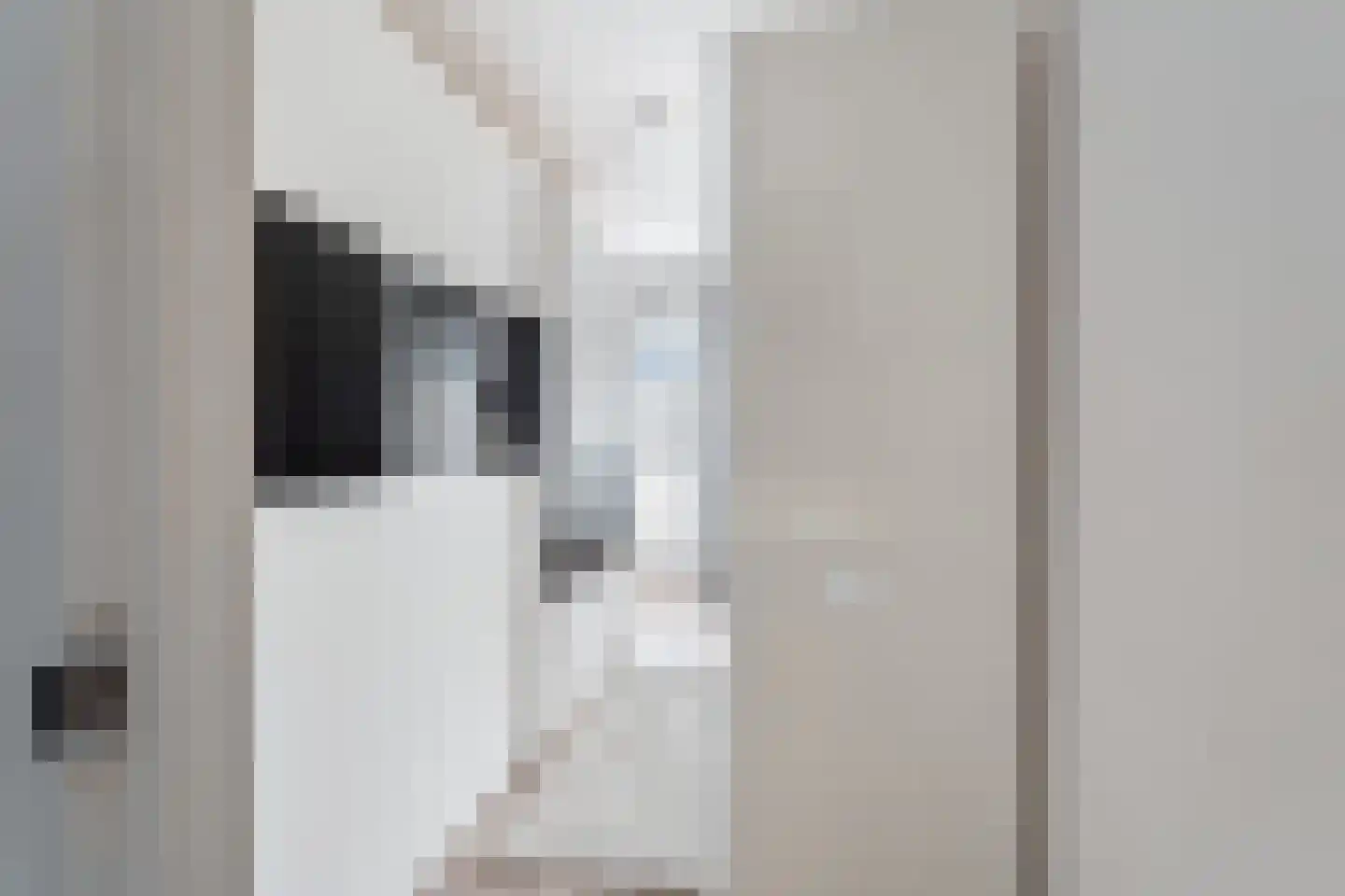 Tolhuis 2222 Nijmegen thumbnail 27