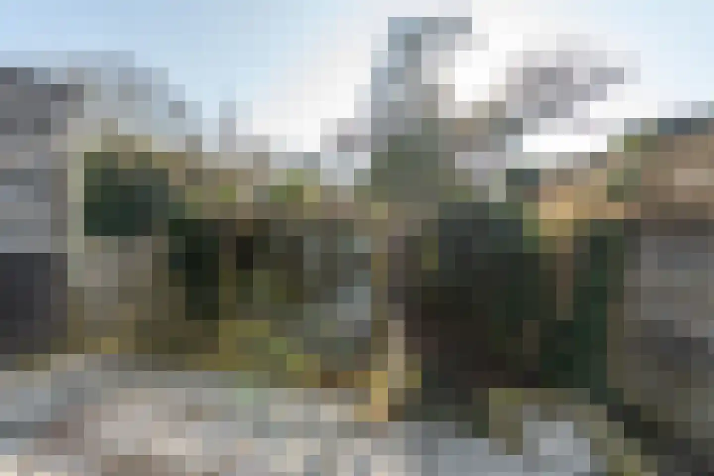 Tolhuis 2222 Nijmegen thumbnail 43