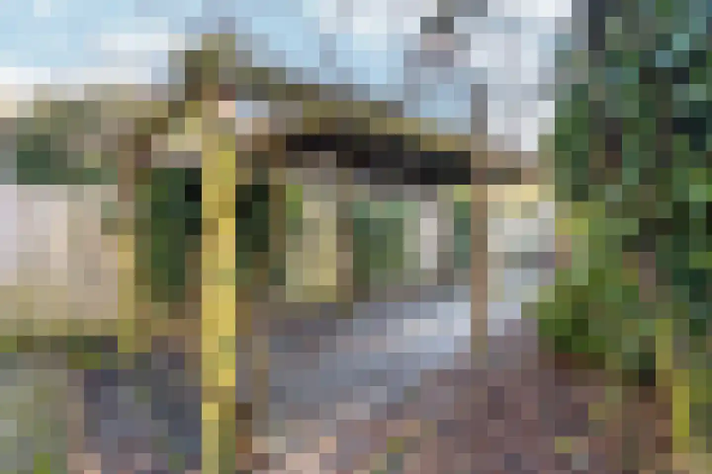Tolhuis 2222 Nijmegen thumbnail 44