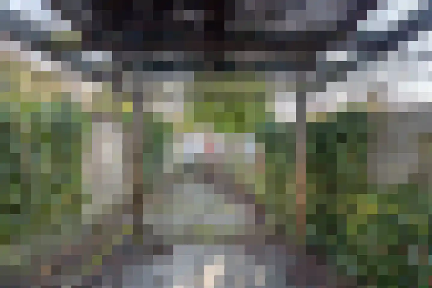 Tolhuis 2222 Nijmegen thumbnail 46