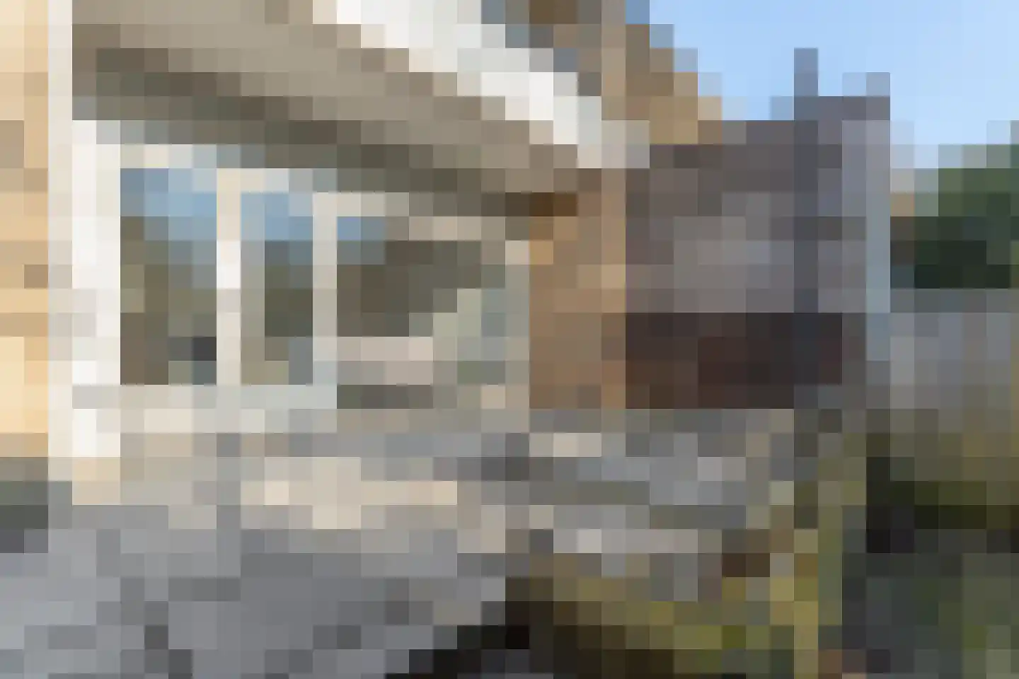Tolhuis 2222 Nijmegen thumbnail 51