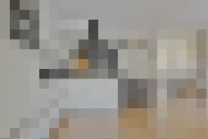 Tolhuis 23 d Hellendoorn thumbnail 11
