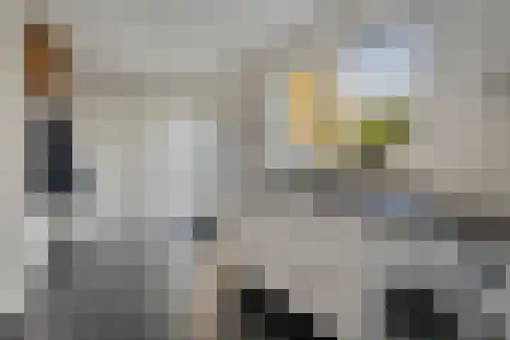 Tolhuis 23 d Hellendoorn thumbnail 14