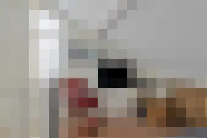 Tolhuis 23 d Hellendoorn thumbnail 25