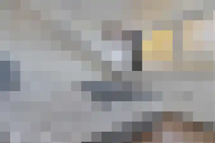 Tolhuis 23 d Hellendoorn thumbnail 27
