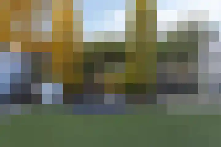 Tolhuis 23 d Hellendoorn thumbnail 29