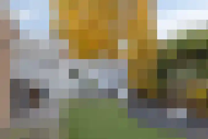 Tolhuis 23 d Hellendoorn thumbnail 31