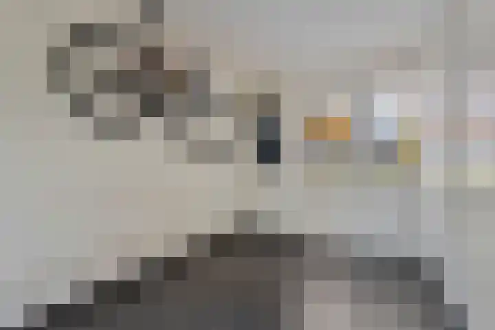 Tolhuis 23 d Hellendoorn thumbnail 36