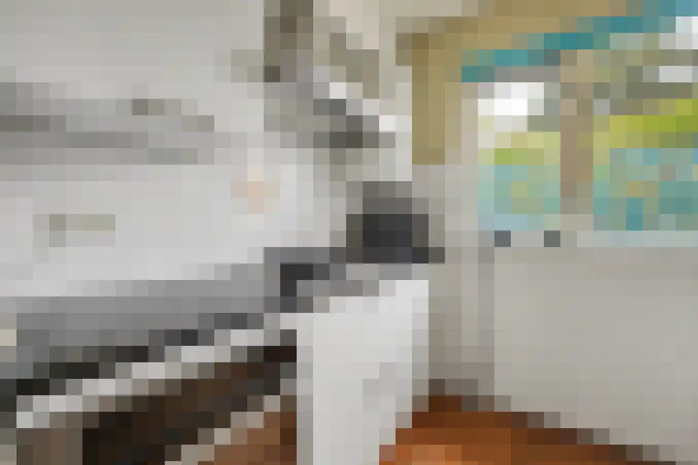 Tolhuis 2316 Nijmegen thumbnail 16