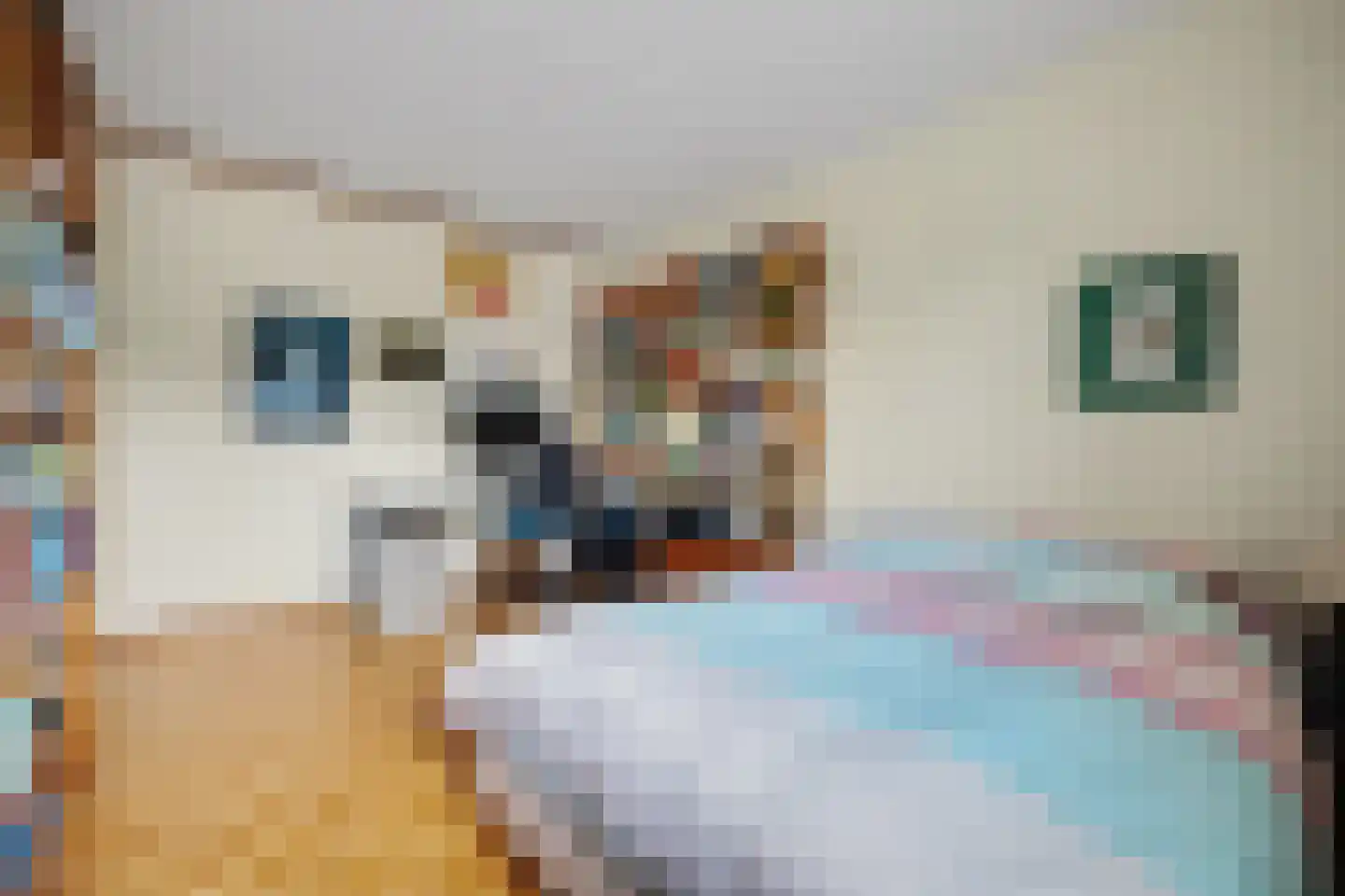 Tolhuis 2316 Nijmegen thumbnail 17