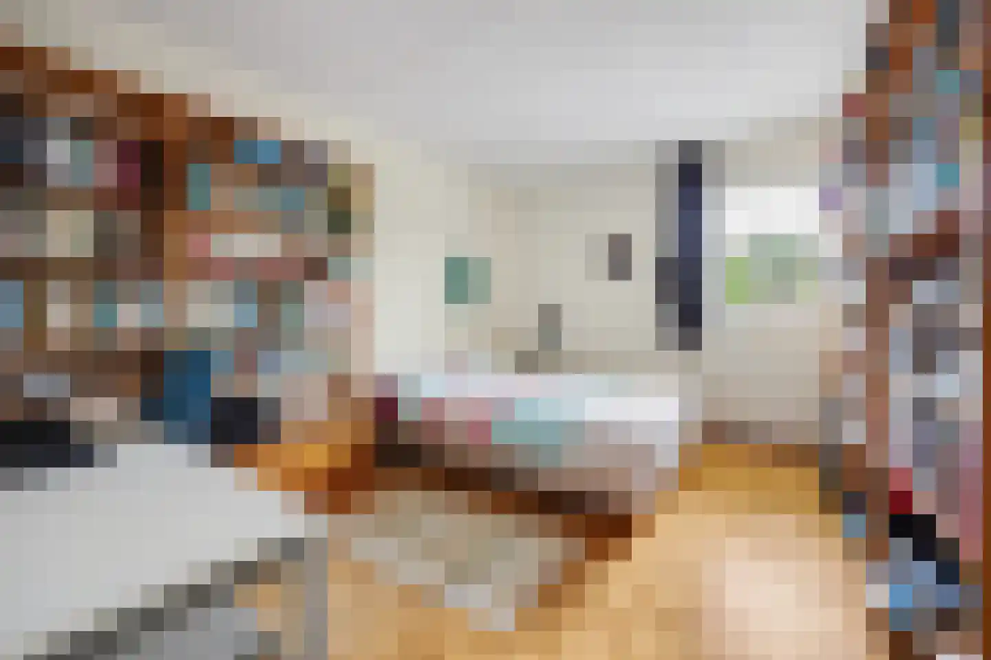 Tolhuis 2316 Nijmegen thumbnail 18