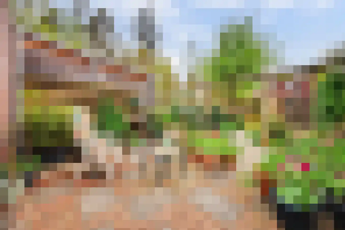 Tolhuis 2316 Nijmegen thumbnail 26