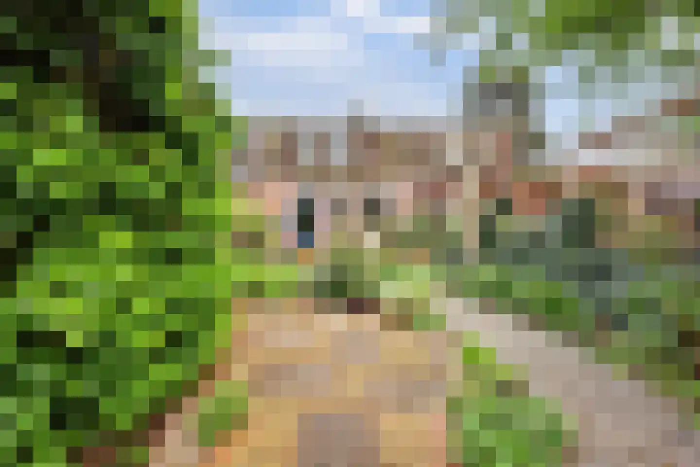 Tolhuis 2316 Nijmegen thumbnail 28
