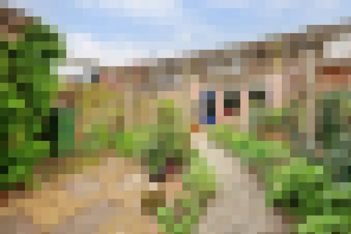 Tolhuis 2316 Nijmegen thumbnail 29