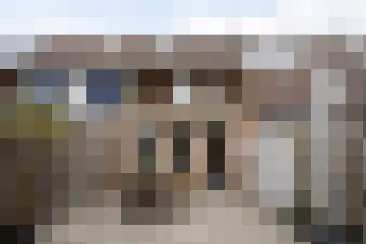 Tolhuis 2506 Nijmegen thumbnail 30