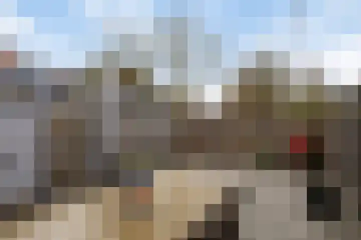 Tolhuis 2506 Nijmegen thumbnail 31