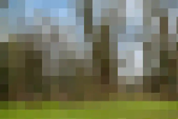 Tolhuis 2506 Nijmegen thumbnail 34