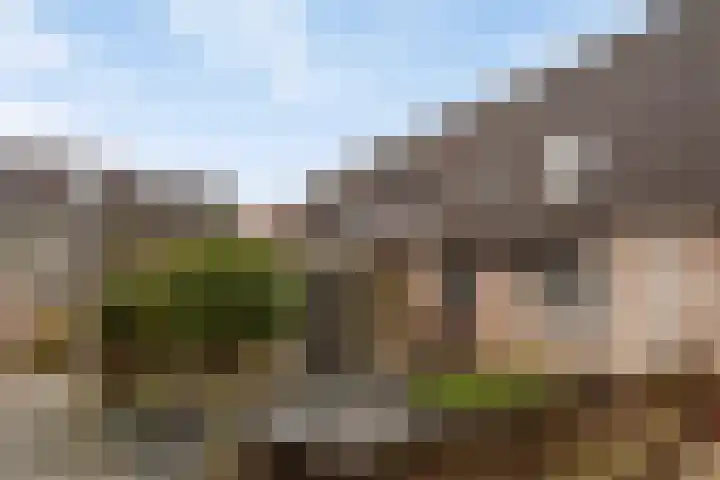 Tolhuis 2506 Nijmegen thumbnail 5