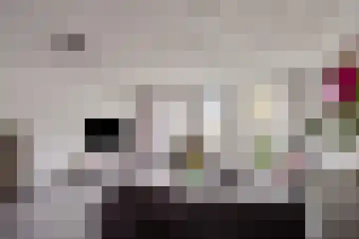 Tolhuis 2506 Nijmegen thumbnail 7