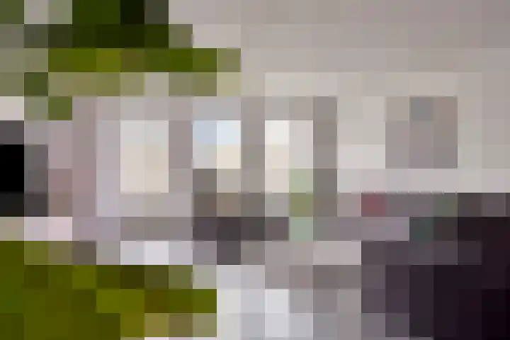 Tolhuis 2506 Nijmegen thumbnail 9