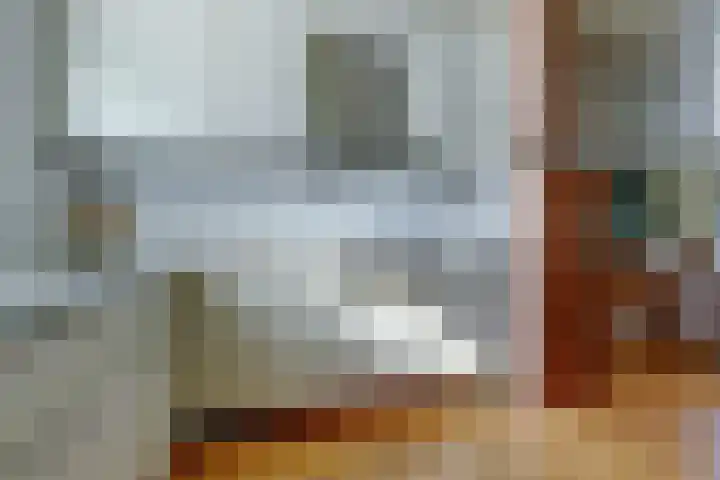 Tolhuis 2509 Nijmegen thumbnail 15