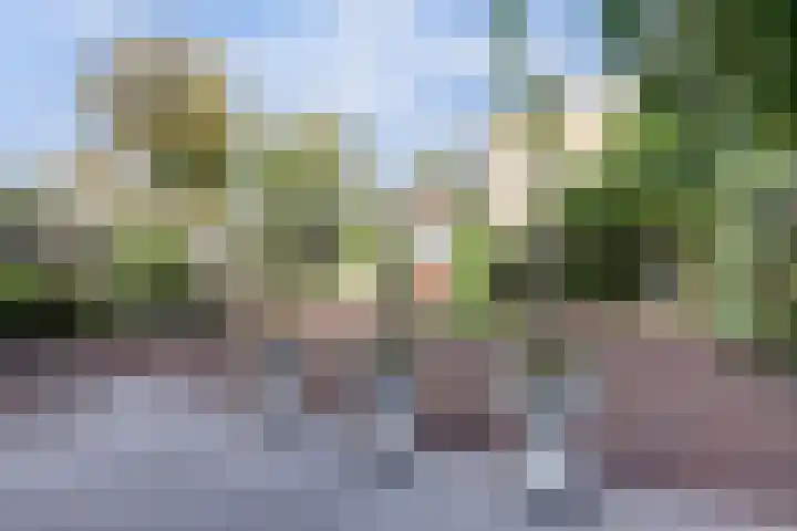 Tolhuis 2509 Nijmegen thumbnail 36