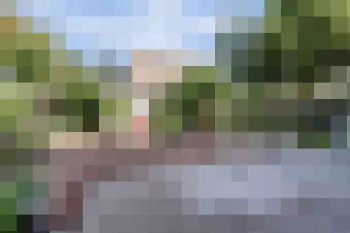 Tolhuis 2509 Nijmegen thumbnail 37