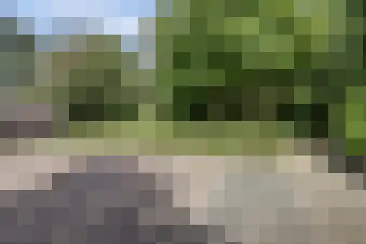 Tolhuis 2509 Nijmegen thumbnail 43