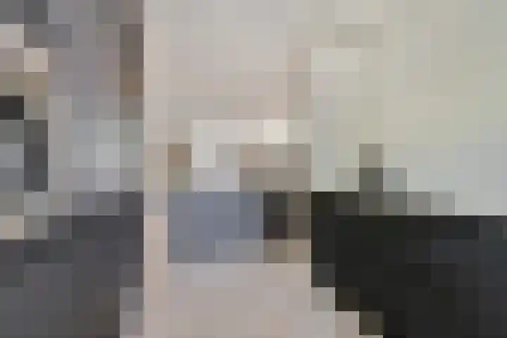 Tolhuis 2524 Nijmegen thumbnail 17