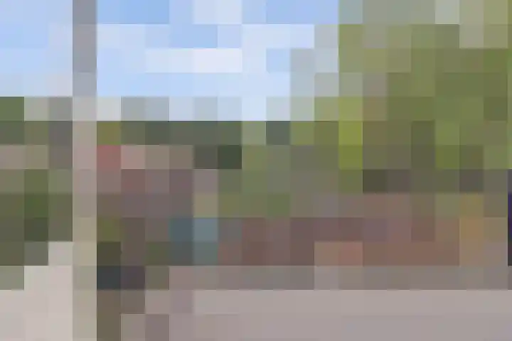 Tolhuis 2524 Nijmegen thumbnail 39